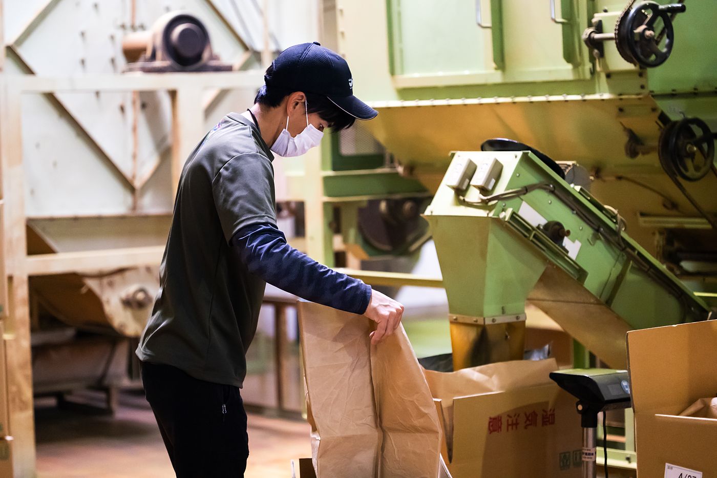 仕上げた茶葉を袋詰めする出荷場での作業