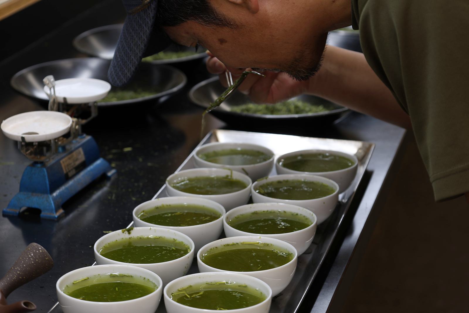 審査用に並べた茶碗の前で、茶葉の香りを確かめる様子